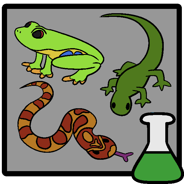 A red eyed tree frog, a corn snake, and a lizard in a frame with a green beaker in the corner.